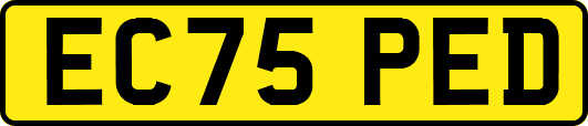 EC75PED