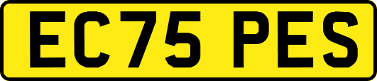EC75PES