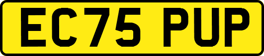 EC75PUP