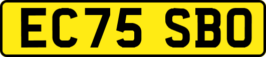 EC75SBO
