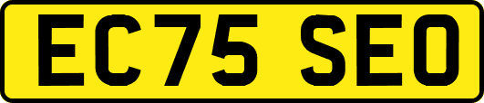 EC75SEO