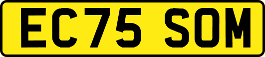 EC75SOM