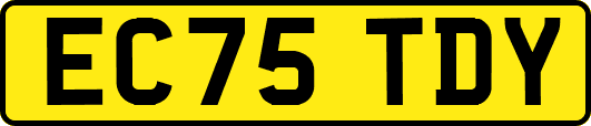 EC75TDY