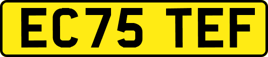 EC75TEF