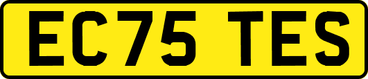 EC75TES