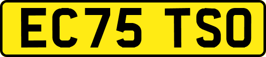 EC75TSO