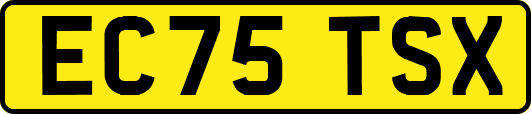 EC75TSX