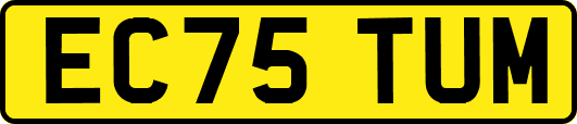EC75TUM