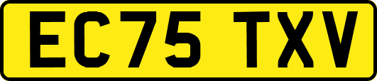 EC75TXV