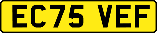 EC75VEF
