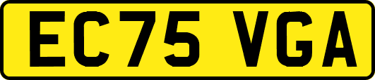 EC75VGA