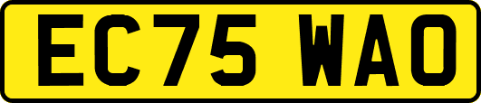 EC75WAO