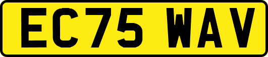 EC75WAV