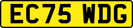 EC75WDG