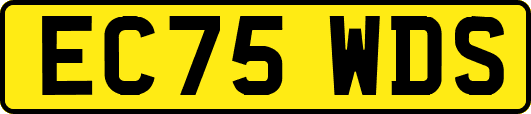 EC75WDS