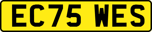 EC75WES