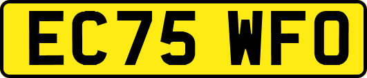 EC75WFO