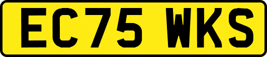 EC75WKS