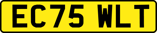 EC75WLT