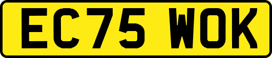EC75WOK