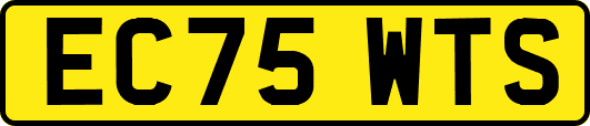EC75WTS