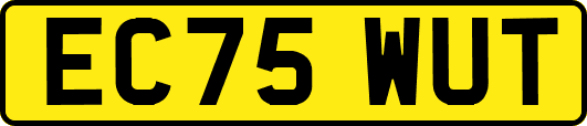 EC75WUT