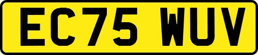 EC75WUV