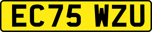 EC75WZU
