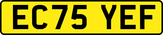 EC75YEF
