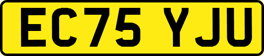 EC75YJU