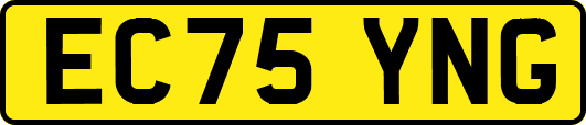EC75YNG