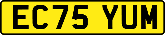 EC75YUM