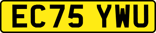 EC75YWU