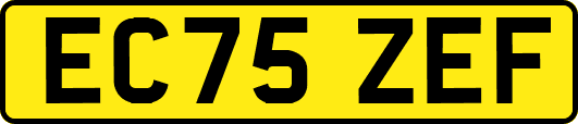 EC75ZEF