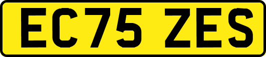 EC75ZES