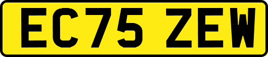 EC75ZEW