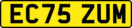 EC75ZUM