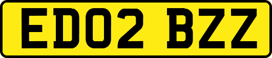 ED02BZZ