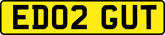 ED02GUT