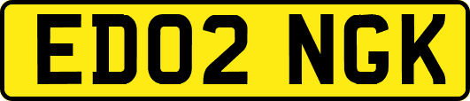 ED02NGK