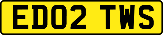 ED02TWS