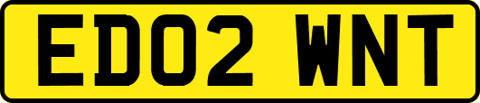 ED02WNT