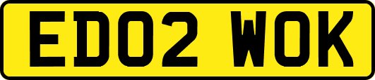 ED02WOK