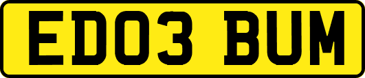 ED03BUM
