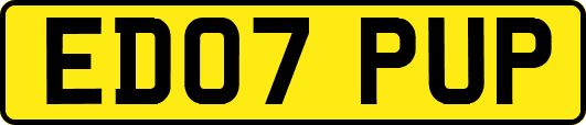ED07PUP
