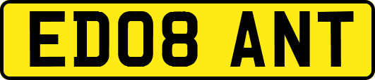 ED08ANT