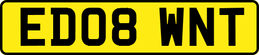 ED08WNT