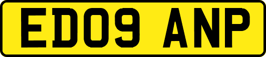 ED09ANP