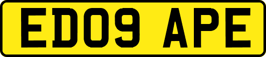 ED09APE