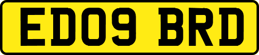 ED09BRD